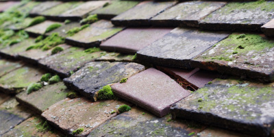 Eton roof repair costs